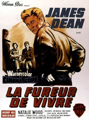 Affiche du film La Fureur de vivre