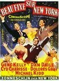 Affiche du film Beau Fixe sur New York