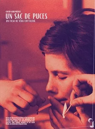 Affiche du film Un sac de puces