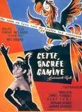 Affiche du film Cette sacrée gamine