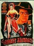 Affiche du film The Rawhide Years
