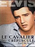 Affiche du film Le Cavalier du crépuscule