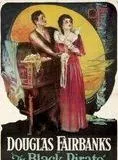 Affiche du film Le Pirate noir