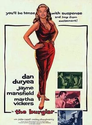 Affiche du film Le Cambrioleur