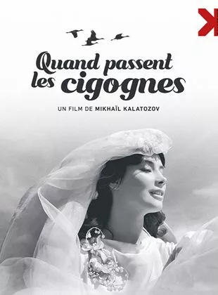 Affiche du film Quand passent les cigognes