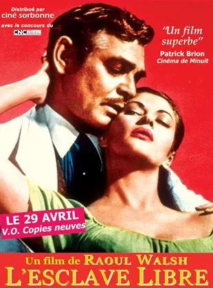 Affiche du film L'Esclave libre