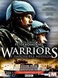 Affiche du film Warriors