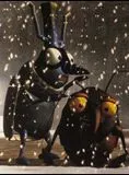 Affiche du film Insektors - Court Métrage