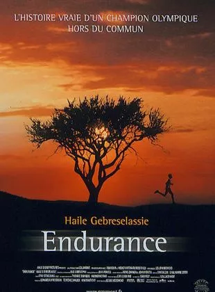 Affiche du film Endurance