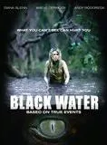 Affiche du film Black Water