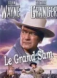 Affiche du film Le Grand Sam