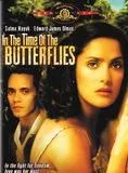 Affiche du film In the time of the butterflies
