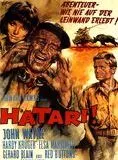 Affiche du film Hatari!