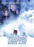 Affiche du film Danger: avalanche !