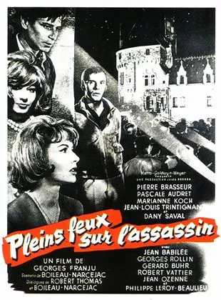 Affiche du film Pleins Feux sur l'assassin