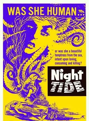 Affiche du film Marée nocturne