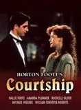 Affiche du film Courtship