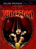 Affiche du film Vampire junction