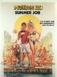 Affiche du film Académie de vacances
