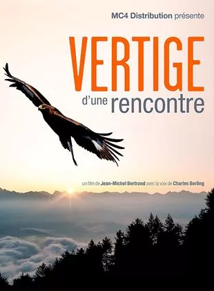 Affiche du film Vertige d'une rencontre