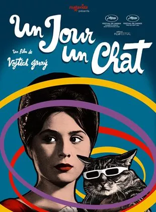 Affiche du film Un Jour un chat