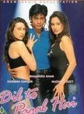 Affiche du film Dil To Pagal Hai