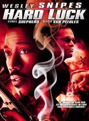 Affiche du film Middleman