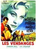 Affiche du film Les Vendanges