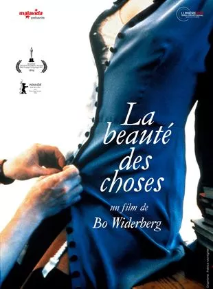 Affiche du film La Beauté des choses