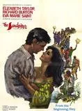 Affiche du film Le Chevalier des sables