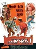 Affiche du film Texas nous voilà