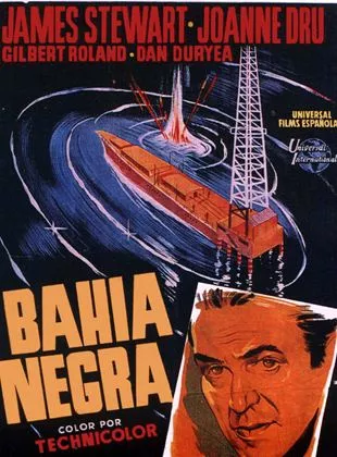Affiche du film Le Port des passions