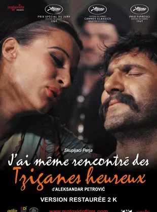 Affiche du film J'ai meme rencontre des Tziganes heureux