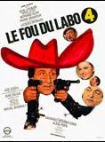 Affiche du film Le Fou du labo 4