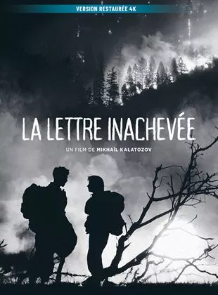 Affiche du film La Lettre inachevée