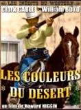 Affiche du film Les Couleurs du désert