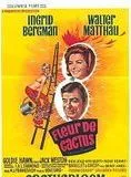 Affiche du film Fleur de cactus