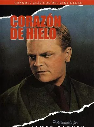 Affiche du film Un Fauve en liberté