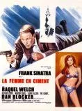 Affiche du film La Femme en ciment