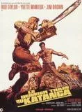 Affiche du film Le Dernier Train du Katanga