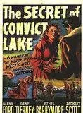Affiche du film L'Énigme du lac noir