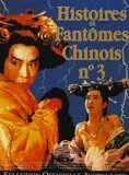 Affiche du film Histoire de fantômes chinois 3