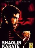 Affiche du film Shaolin Karaté