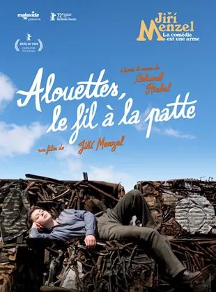 Affiche du film Alouettes, le fil à la patte