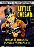 Affiche du film Le Petit César
