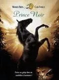 Affiche du film Prince Noir