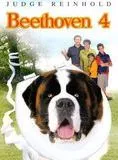 Affiche du film Beethoven 4