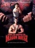 Affiche du film Dans les griffes du dragon rouge