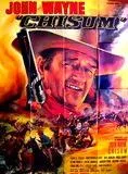 Affiche du film Chisum
