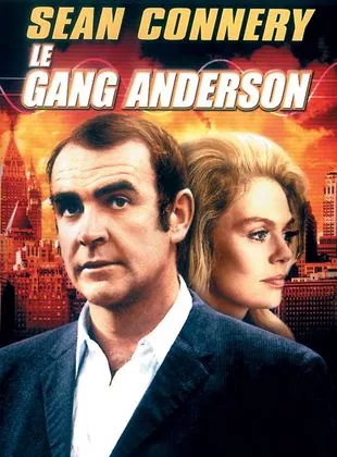 Affiche du film Le Gang Anderson